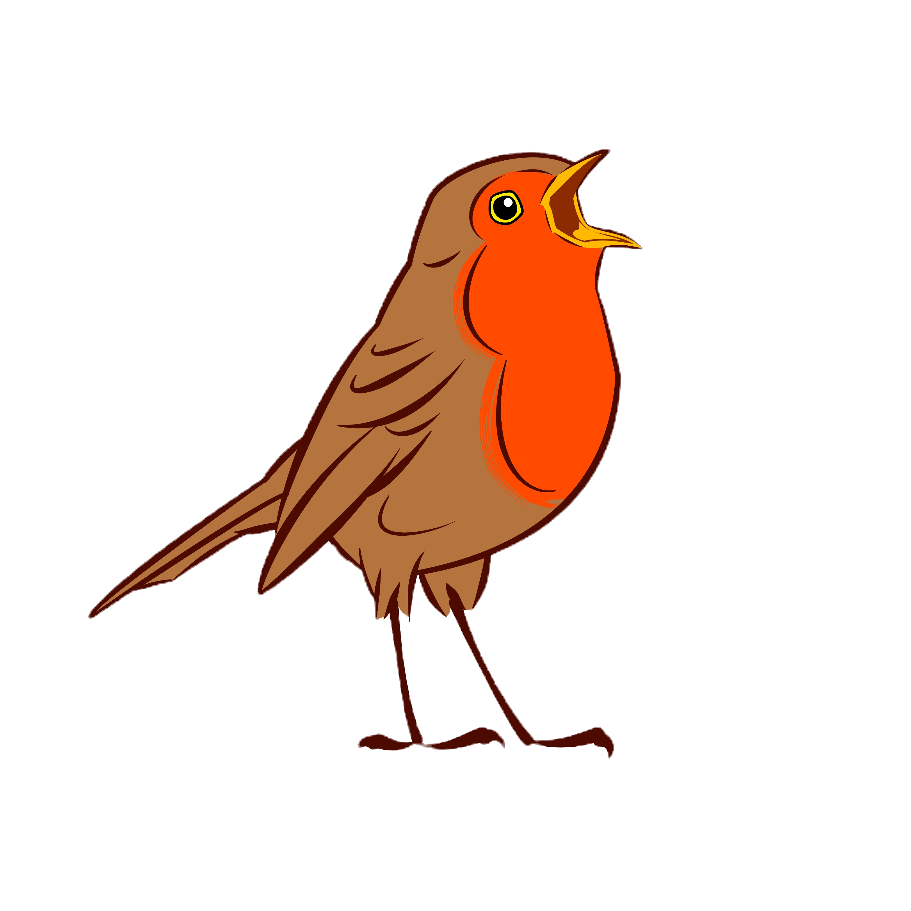 Red Robin Films - Production Partner